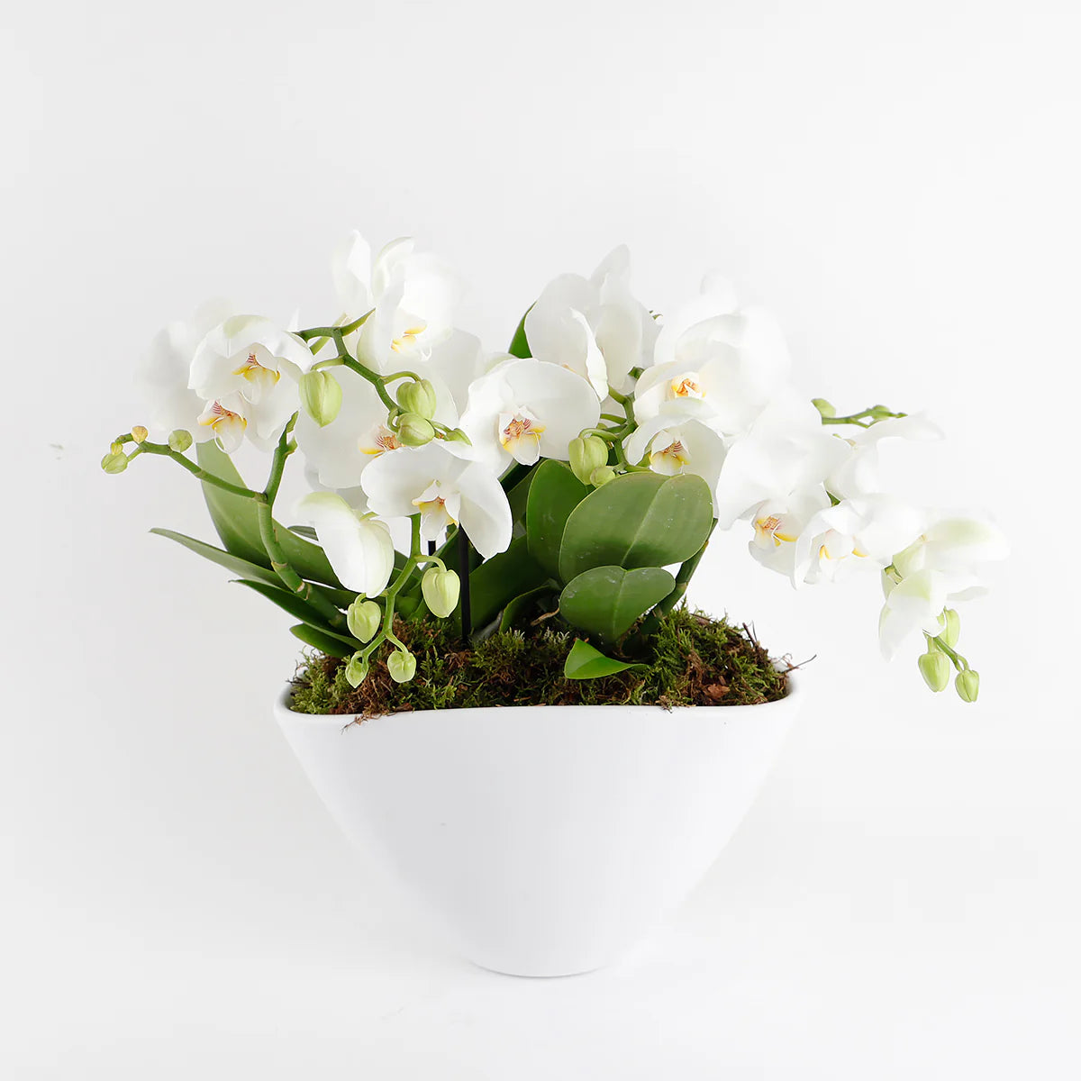 import placeholder for 15