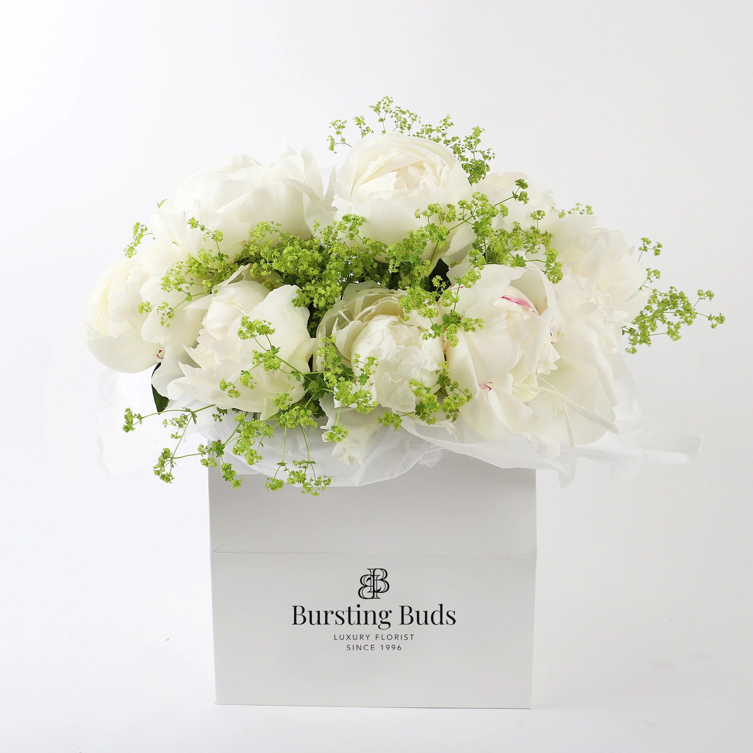 import placeholder for 19