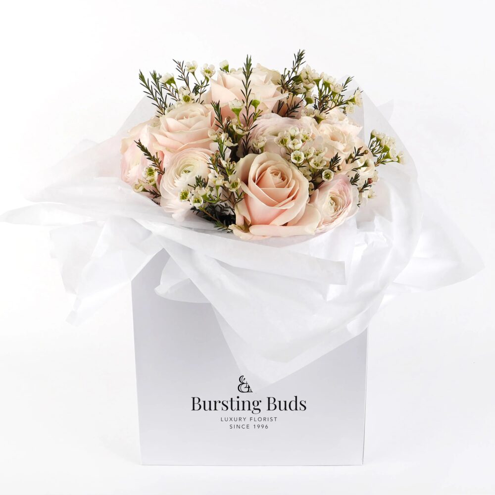 import placeholder for 18 import placeholder for 18