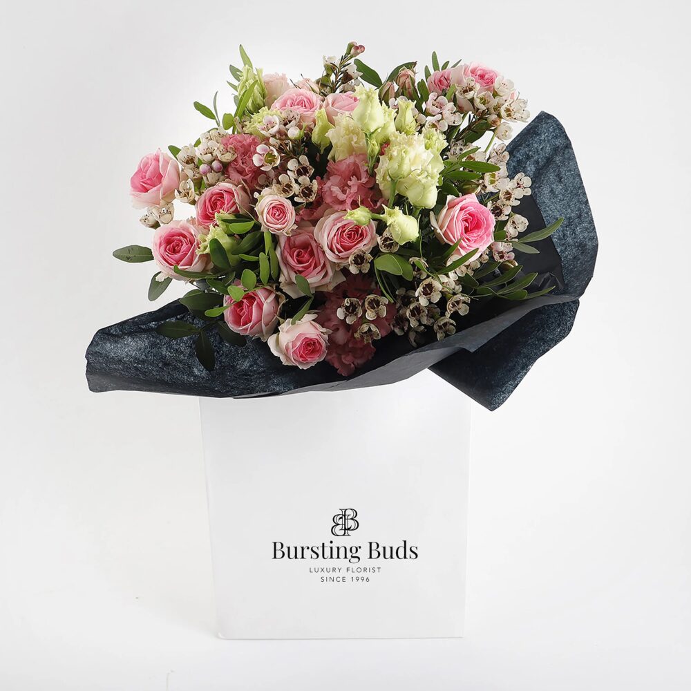 import placeholder for 9 import placeholder for 9