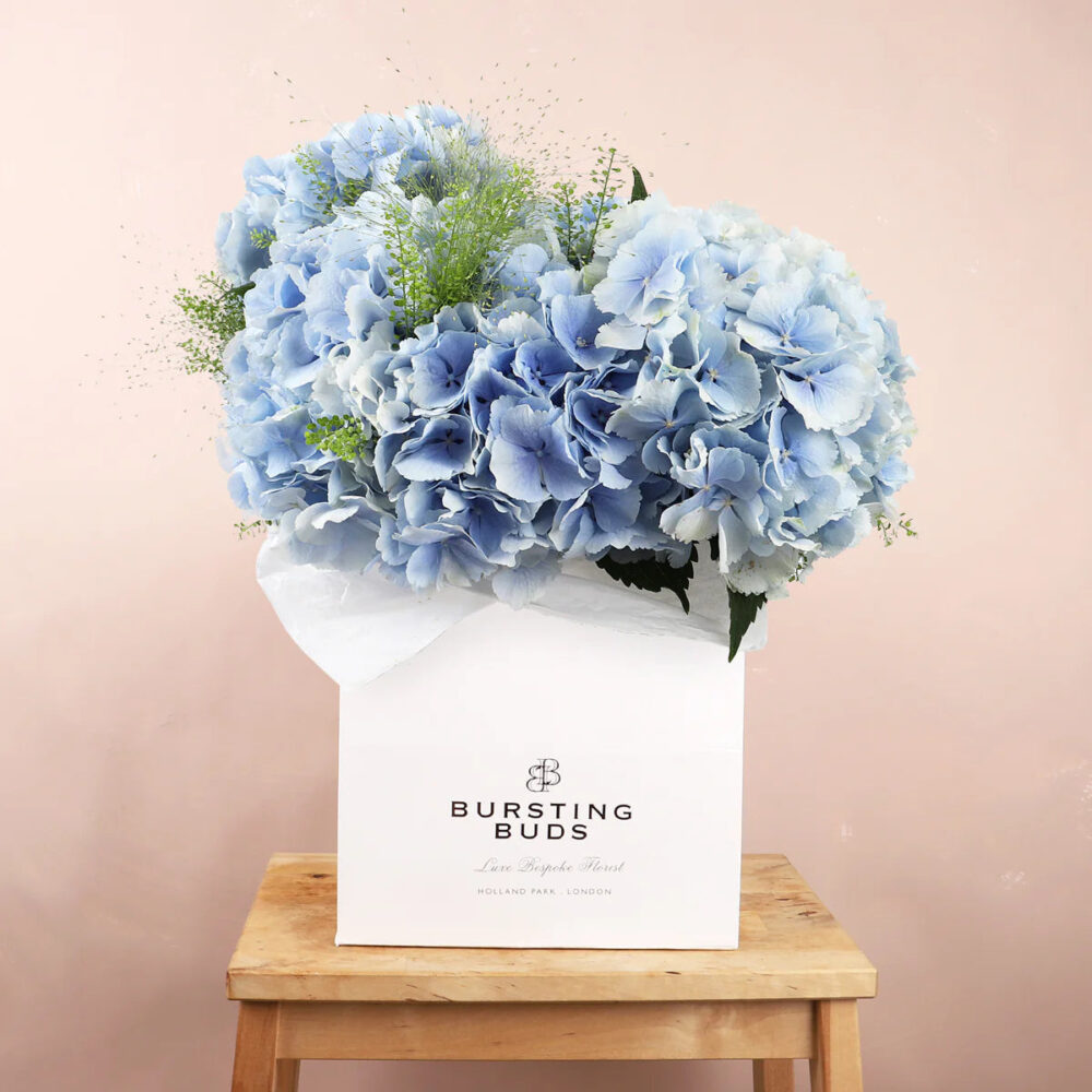 import placeholder for 15 import placeholder for 15